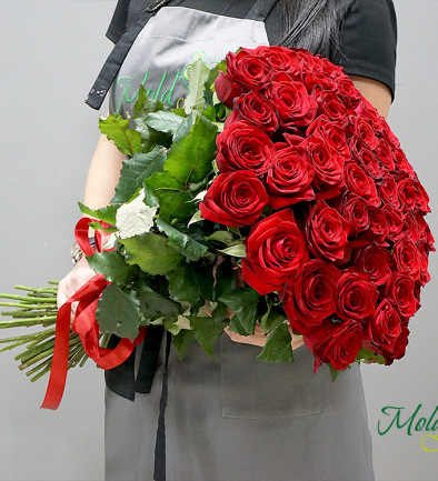 51 Красная роза голландская 50-60 см Фото 394x433